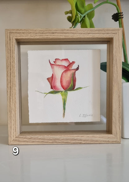 Mini Lovers — Framed Original Watercolour Paintings