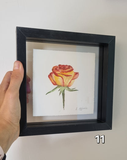 Mini Lovers — Framed Original Watercolour Paintings